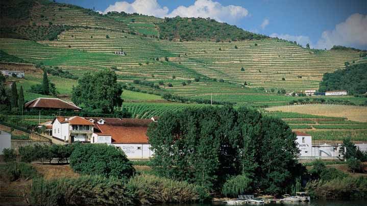 Dow’s Vintage Port 2000 – ett stort vin enligt Livets Goda