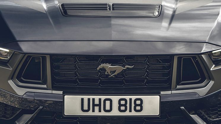 2024 FORD MUSTANG DARK HORSE (35)