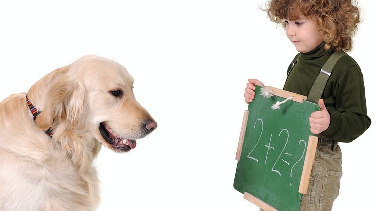 Låt hunden göra barnens läxor! 