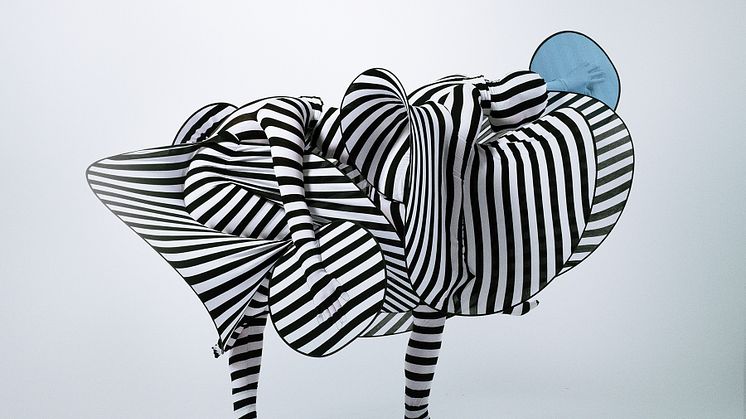 Imagine, Amanda Wisselgren