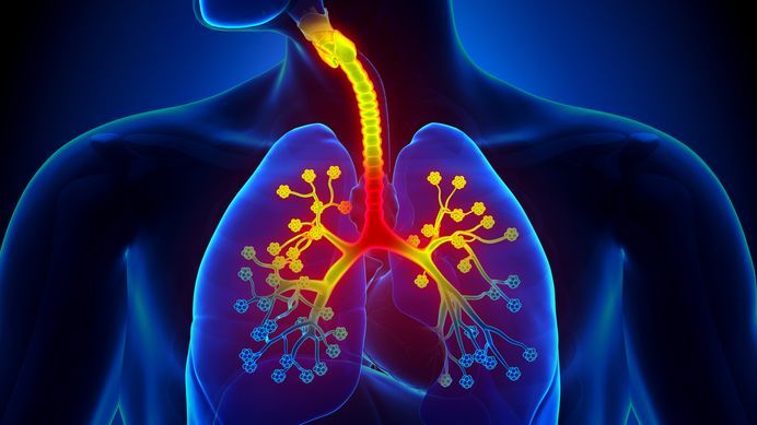 Over 235 million children, women and men around the world suffer asthma, a dire respiratory disease. Now a new American report says that purifying indoor air may contribute to helping children with asthma avoid attacks.