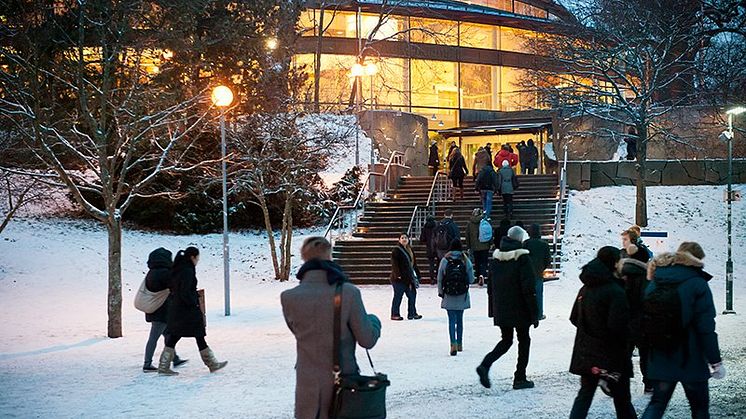 Julen 2014 – experter från Stockholms universitet