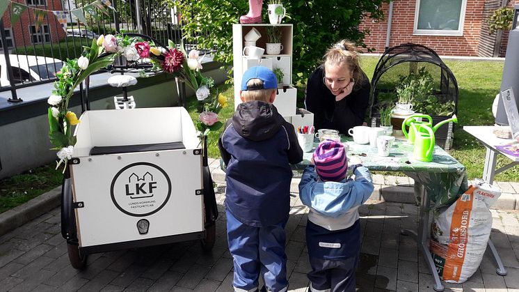 På fyra utvalda områden bjuds det på jubileumskalas i LKFs regi - alla hyresgäster och lundabor är välkomna!