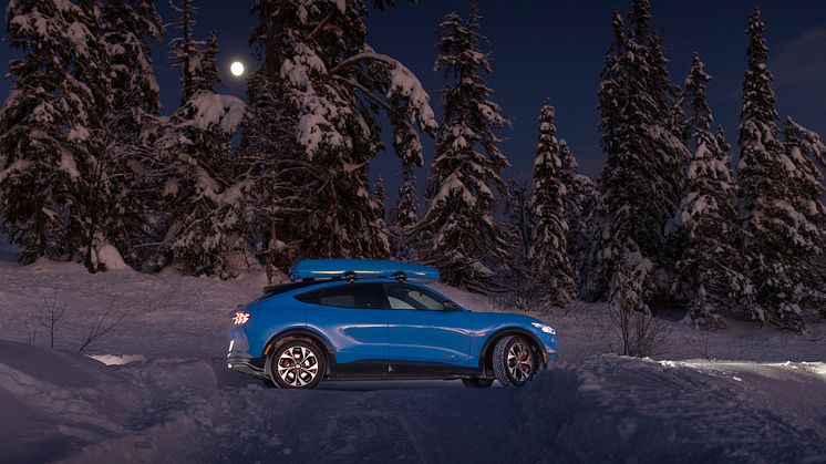 Ford Mustang Mach-E Vinter 2022
