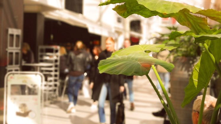 Svenskarnas favoritcentrum 2019 - resultaten är klara