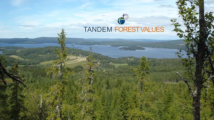 Tandem Forest Values-utlysningen har lockat 72 sökande från 23 universitet och forskningsinstitut. Foto: Ylva Nordin.