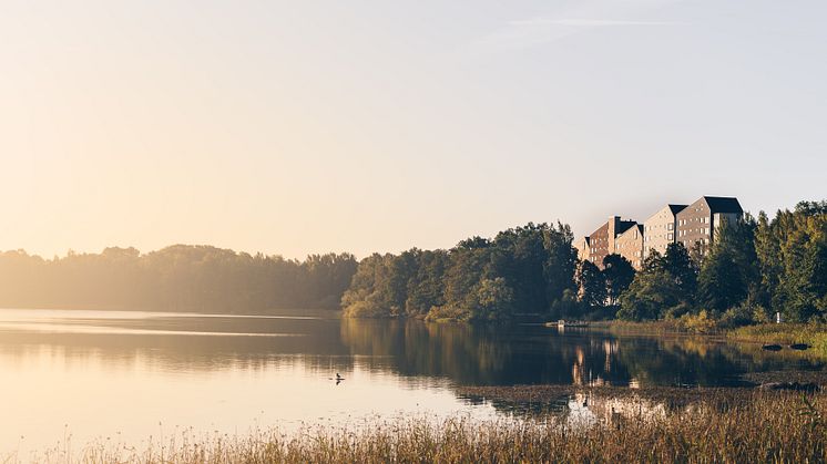 Vallen. Fotograf Jonas Ljungdahl