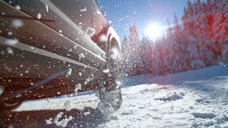 iStock-1301178754.jpg