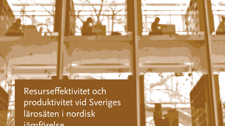 Resurseffektivitet och produktivitet vid Sveriges lärosäten i nordisk jämförelse rir 2019:21