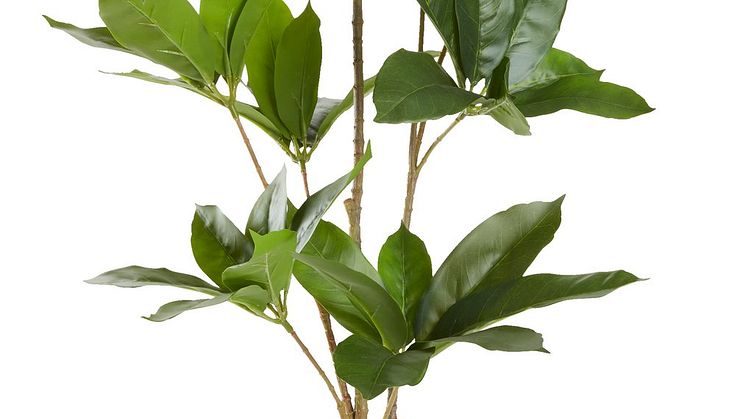 Kunstig plante TRISTAN H80cm