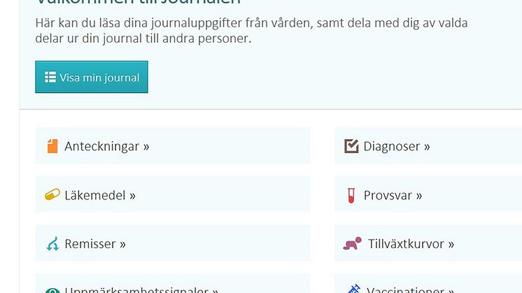 skärmdump