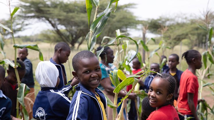Biodynamischer Schulgarten einer Schule in Mbagathi, Kenia (Foto: Lin Bautze)