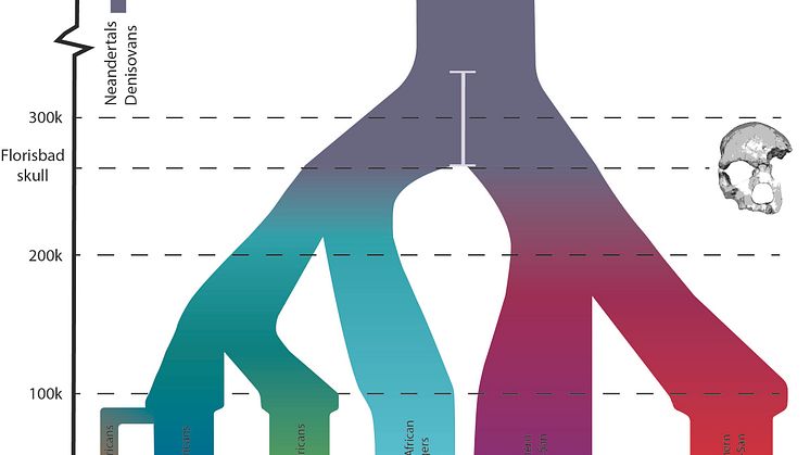 Demographic_model