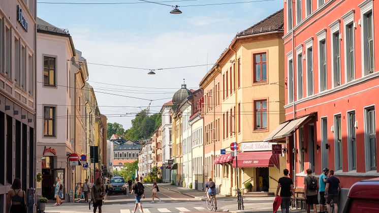 Grünerløkka på sommerstid. Foto: Nikolai Kobets Freund / Oslo kommune