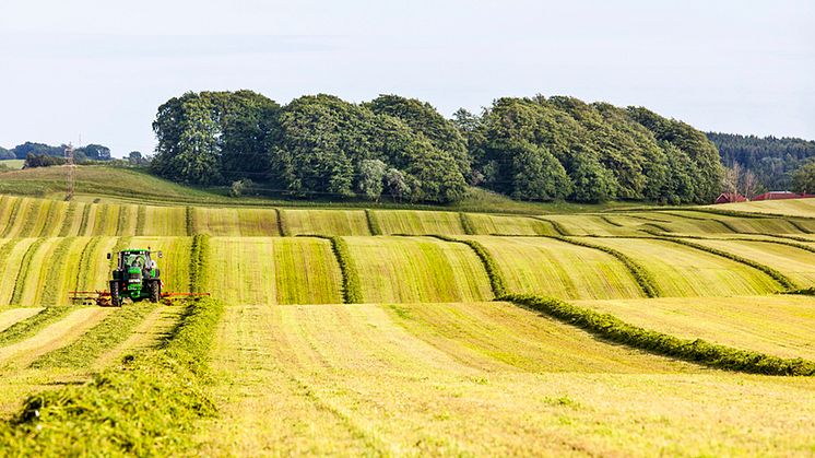 Genrebild lantbruk. Foto: Thomas Adolfsén, Scandinav Bildbyrå