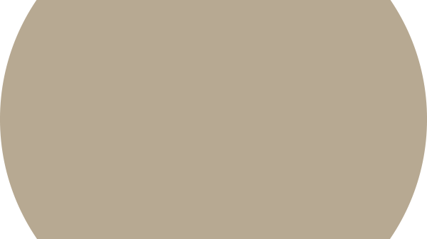 11174_Curious-Mind