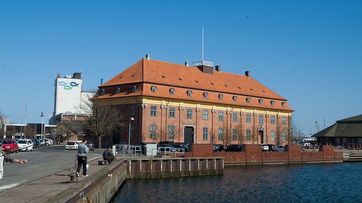 25.000 Håndstrøgne Dantegl tagsten på Horsens Toldbod