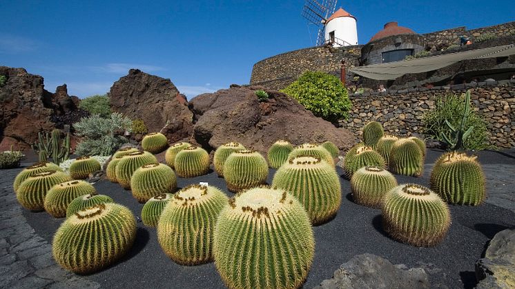 Three great reasons to book a Fred. Olsen Canaries getaway this Winter – free flights, tips and tipples!  