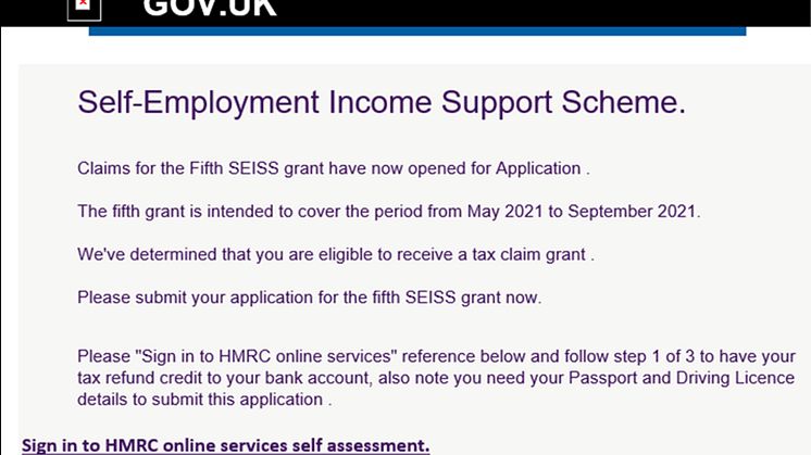 Scams image_SEISS (2).jpg