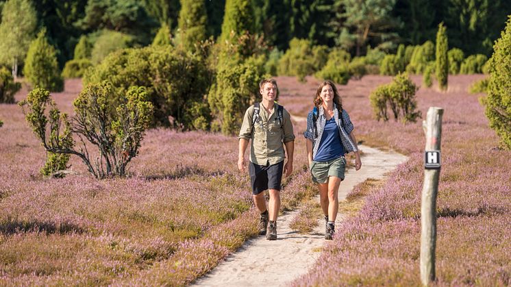 Wanderer Wacholderwald Schmarbecker Heide © Lüneburger Heide GmbH