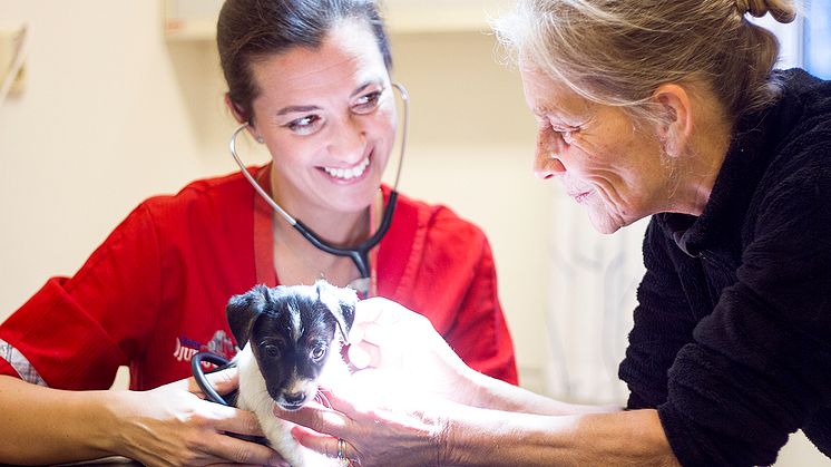 Veterinär Marie Jury - Väsby Djursjukhus