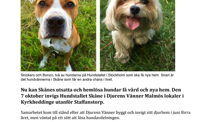 Den 7 oktober invigs Hundstallet Skåne