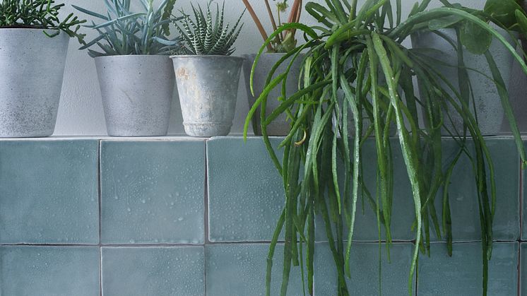 INR-planter