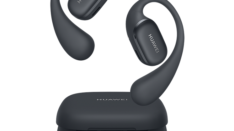 HUAWEI FreeArc_Moose_HQ_Black_15_PNG_800_20241224.png