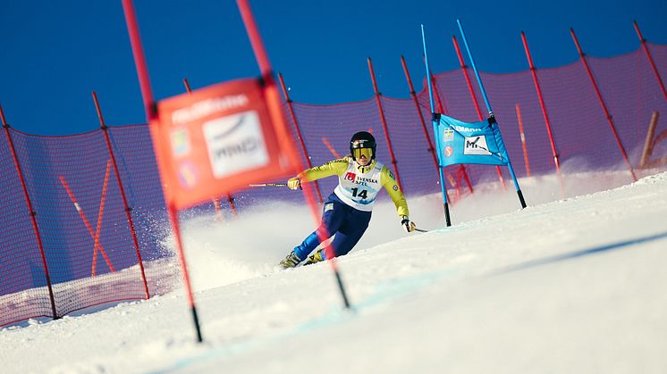 KARIN TRILLEVALLEN_TELEMARKWC25_SPRINT1_@FISTELEMARK_ 82_LOWRES.jpg