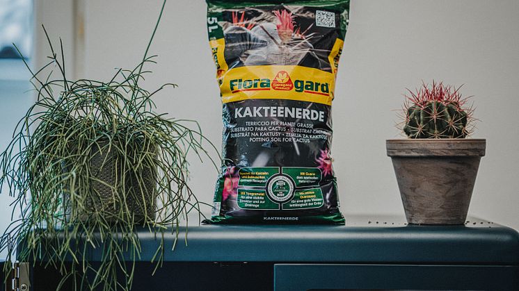 Floragard_Kakteenerde