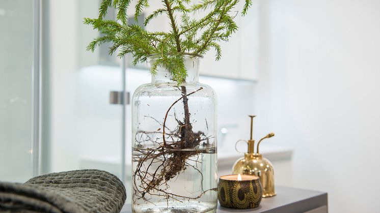 Gå ut i skogen og finn kvister eller små grantrespirer som kan settes i glass eller krukker. Detaljer fra naturen hører hjemme til jul.