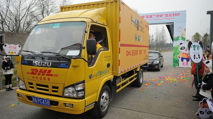 DHL Express transport af pandaer