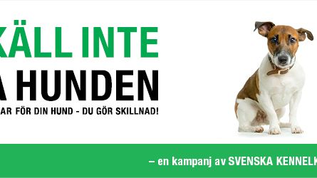 Sveriges första Hundägardag 13 april