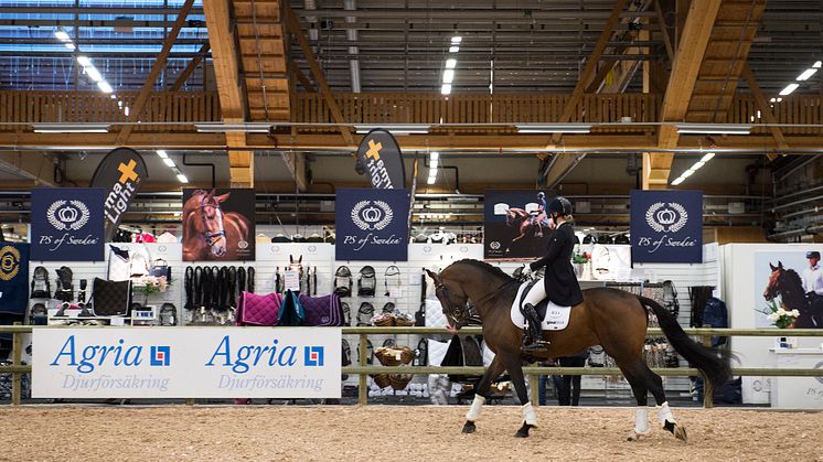 Elmia Scandinavian Horse Show