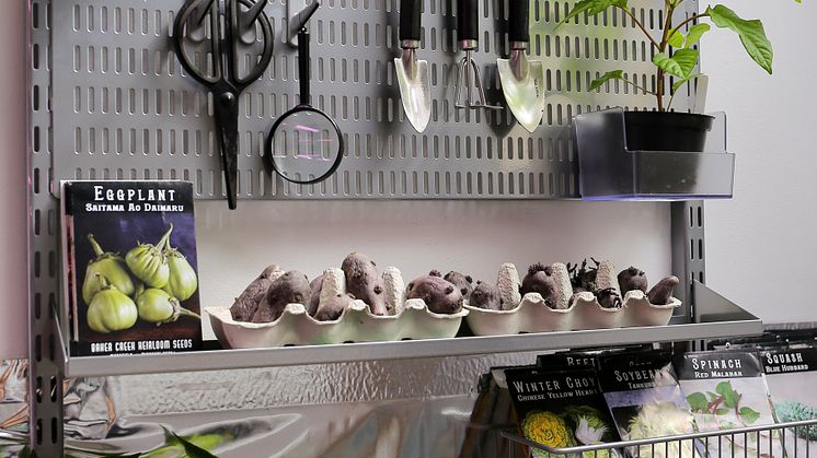 2aElfa_Garage_Storage_garden