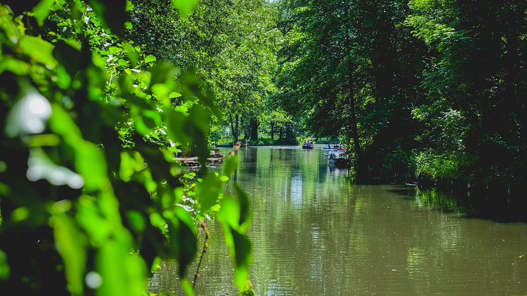 Lübbenau: Bootstour auf einem Kanal im Spresswald © Marcin Nowak / Anna Nowak