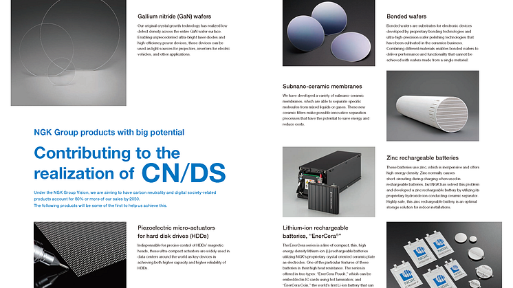 NGK REPORT 2021 contribution to the realization of CN_DS.png