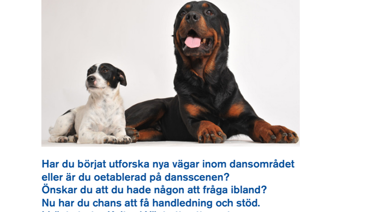 Nytt mentorsprogram för dans i Västra Götaland