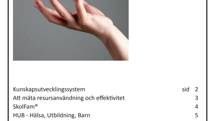 Rapport Arbetsmodeller