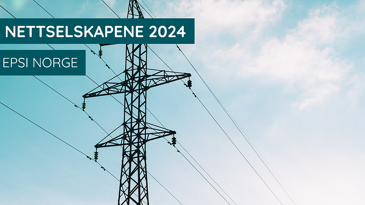 Dette er kundenes dom over nettselskapene i Norge
