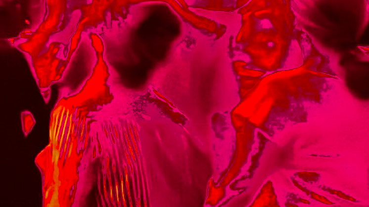 25.10.13-15_OND AND ON AND ON ON AND ON - MARIA NAIDU_foto_Maria Naidu.png