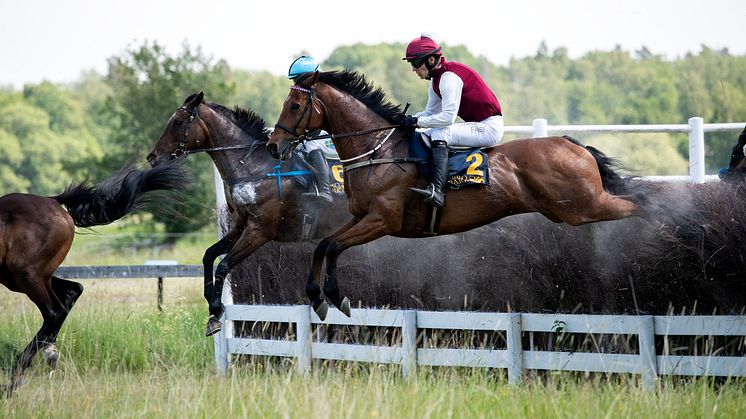 DSC_7885 Mutadaffeq Svenskt Grand National 2023