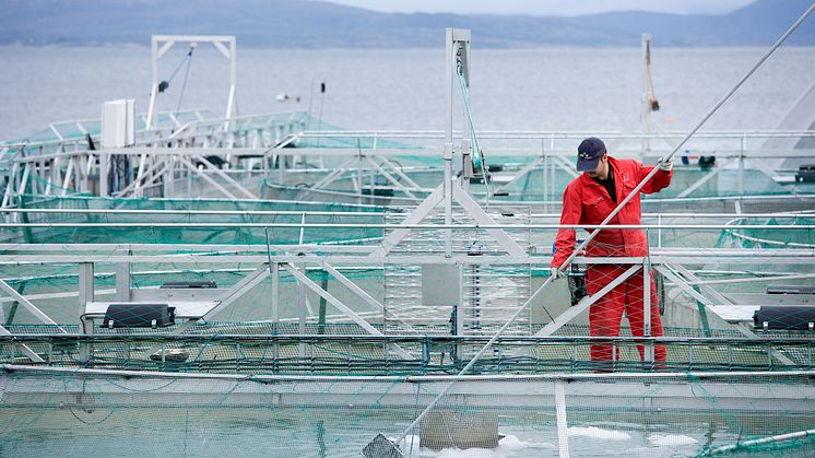 Cermaq Norway - settefiskanlegg