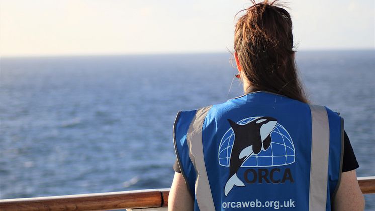 Over 4,400 wildlife sightings made by marine conservation charity ORCA from Fred. Olsen ships in 2022