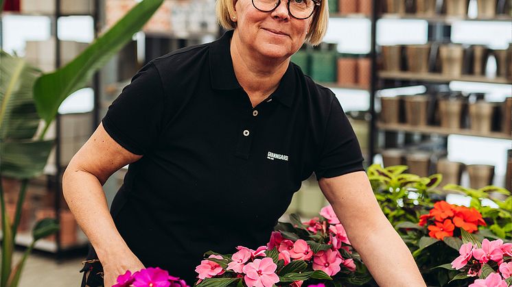 Granngården Blomveckorna Från Sverige 2024 Andrea Johansson Hols.jpg