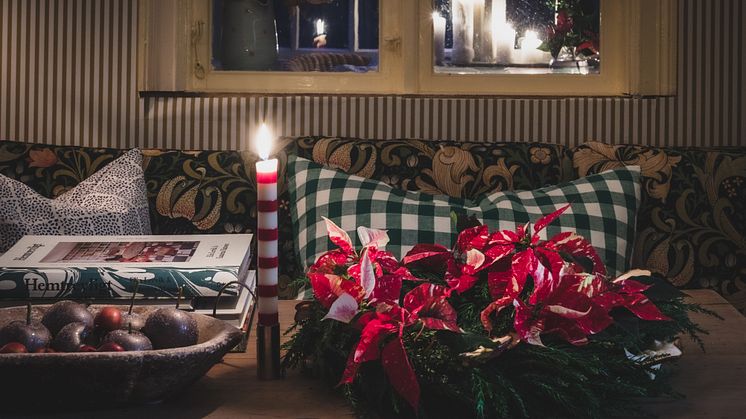 Smycka en grön krans: Tänk utanför traditionella vaser och placera julstjärnorna i provrör nedstuckna i en grön krans av mossa eller barrkvistar. Lägg kransen på en bricka mitt på bordet.
