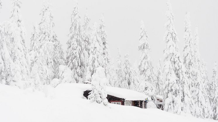 SkiStar AB: Fantastisk mye snø i fjellet