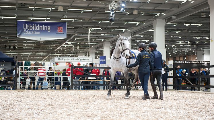 EuroHorse 2013