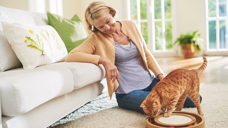Am 8. August ist der internationale Tag der Katze