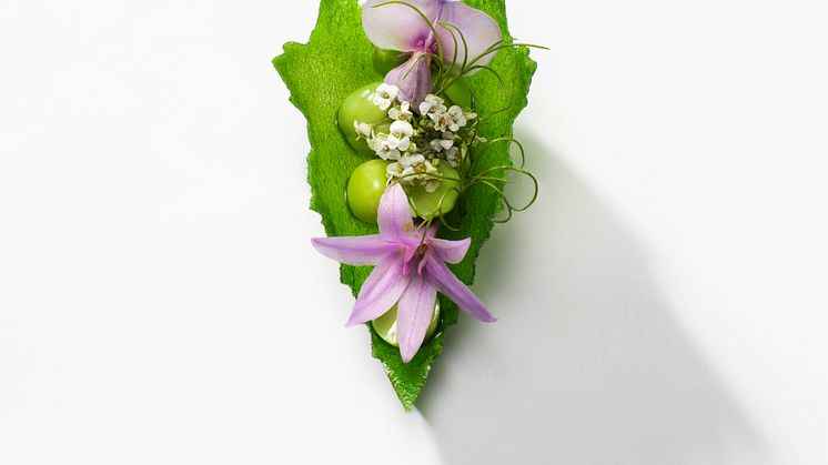 Bocuse D'or Europe 2020 Ärttartlett